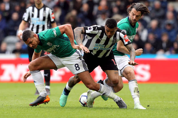 這無疑能彌 這無疑能彌